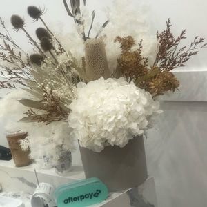 Meet your Posher, Antonella